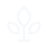 Image One